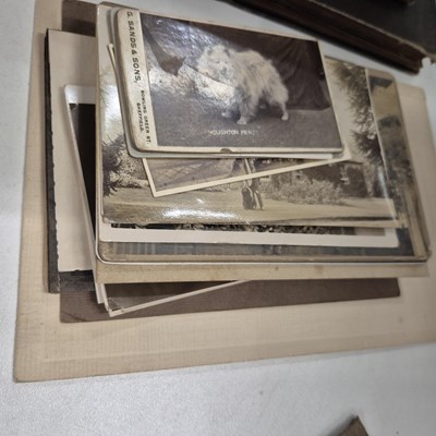 Lot 1495 - no lot