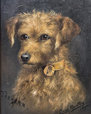 Lot 1499 - Clare Burton, a portrait of the terrier...
