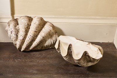 Lot 170 - A rare pair of giant clam shells - Tridacna...