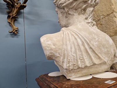 Lot 56 - A Classical Plaster Museum Replica of a...