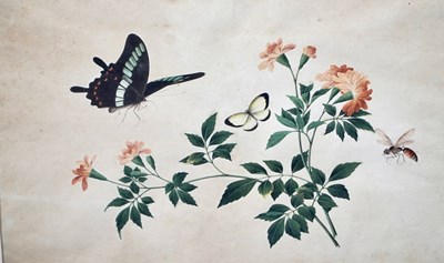 Lot 306 - Anglo Chinese School, set of eight 19th...