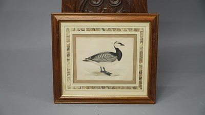 Lot 10 - Four antique hand-coloured prints of geese. H...