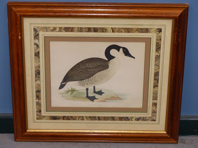 Lot 10 - Four antique hand-coloured prints of geese. H...