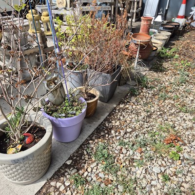 Lot 437 - An extensive collection of garden planters and...