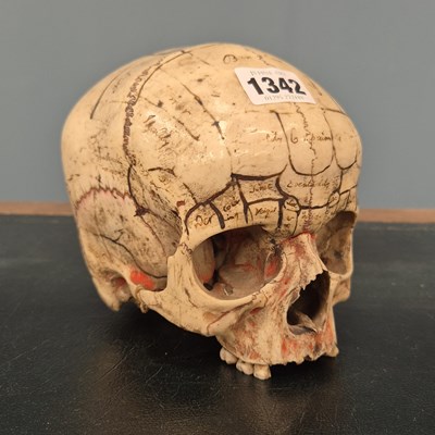 Lot 1342 - An antique human skull inscribed in ink for...
