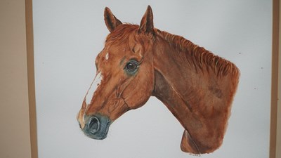 Lot 637 - A set of three 20th century studies of horse's...