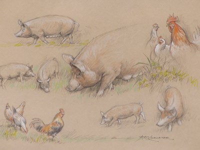 Lot 928 - Barrie Reith Linklater (1931-2017), ARR. pigs...