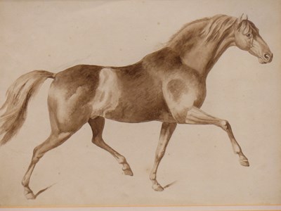 Lot 929 - After Stubbs, a stallion trotting, sepia...
