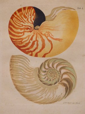 Lot 548 - A set of ten early 19th Century hand-coloured...