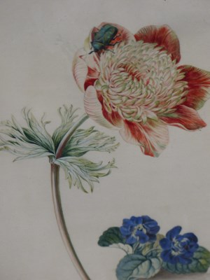 Lot 542 - 18th/19th century school. A pair of floral...