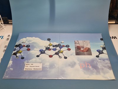 Lot 143 - Menus/Ephemera - P H Damien Hurst pharmacy...