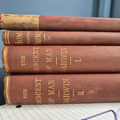 Lot 370 - Books: Charles Darwin, 'Descent of Man', New...