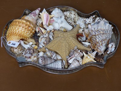 Lot 348 - A plate on copper two handled galleried tray...