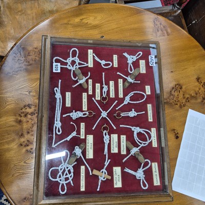 Lot 920 - A glazed wall display of Knots.