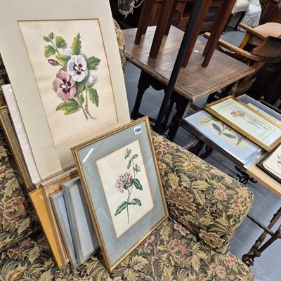 Lot 1090 - 19th century floral watercolours and...