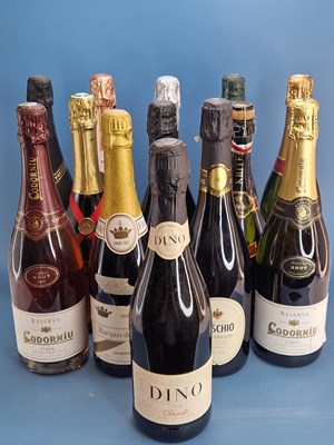 Lot 476 - Sparkling WineThirteen bottles of Cava,...