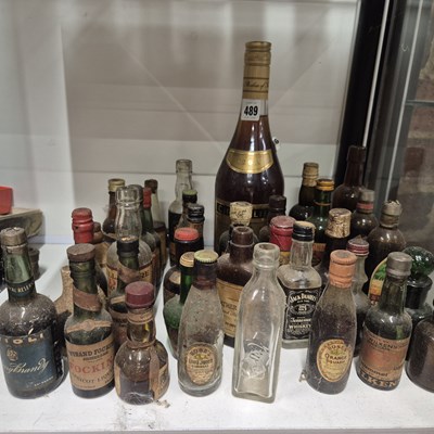 Lot 489 - Drinks Miniatures. a collection of various...