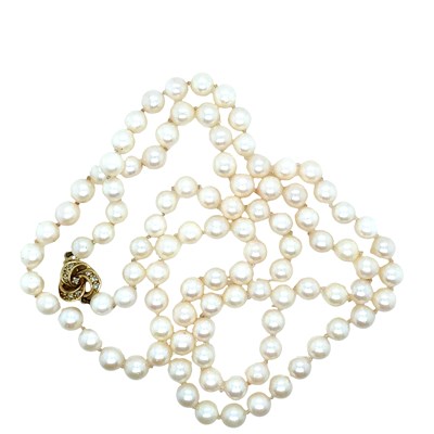 Lot 4 - A row of cultured, slightly graduated and...