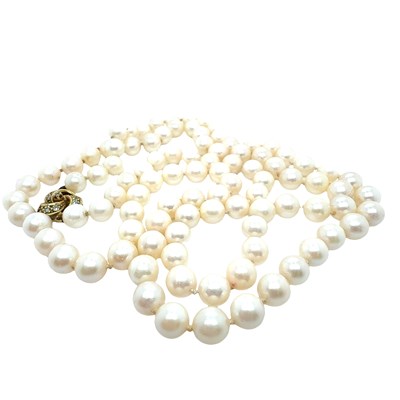 Lot 4 - A row of cultured, slightly graduated and...