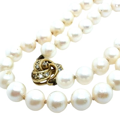 Lot 4 - A row of cultured, slightly graduated and...