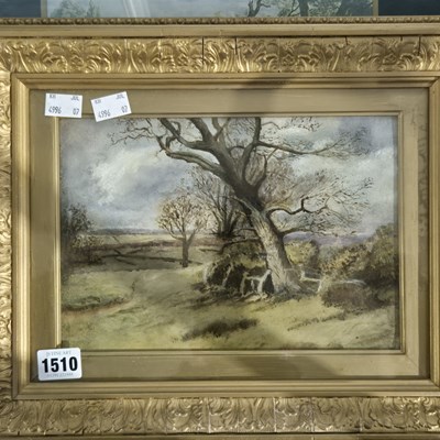 Lot 1510 - early 20th century school. Oak tree and stile...