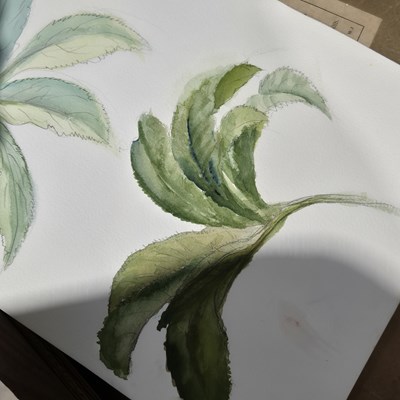 Lot 1534 - Peter Stebbing (1914-1991) Various artists'...