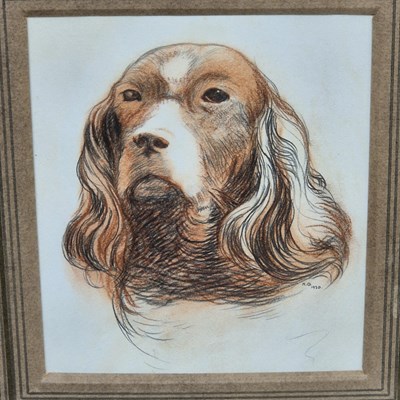 Lot 1546 - Study of a spaniel. pastel and charcoal....