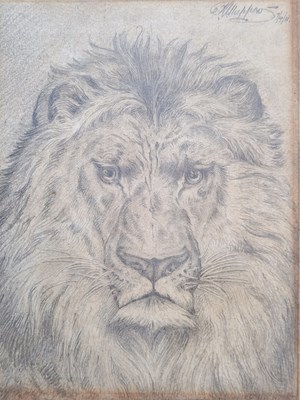 Lot 1180 - Early 20th century, a head of a lion, pencil...