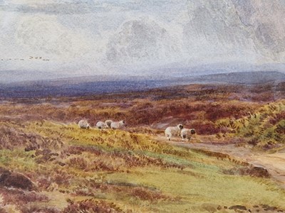 Lot 1192 - Arthur Henry Enock ( 839-1917), sheep on the...