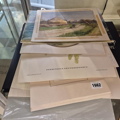 Lot 1662 - Various prints and watercolours.