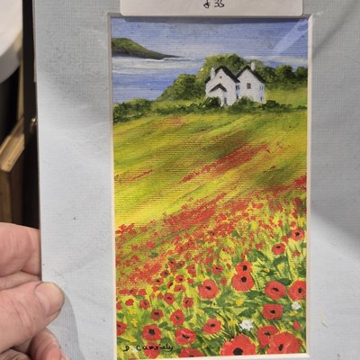 Lot 1668 - Deborah Cassidy, a collection of original...