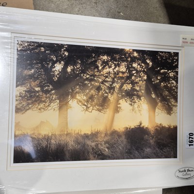 Lot 1670 - Sue Dance. a small collection of artworks, Sea...