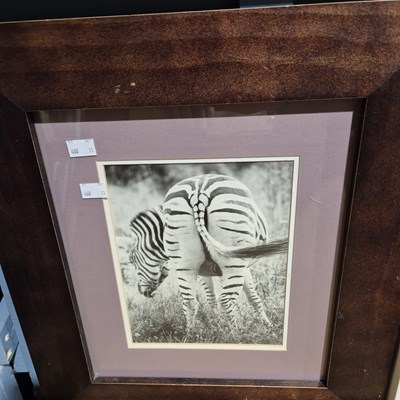 Lot 1845 - A small collection of framed art photographs...