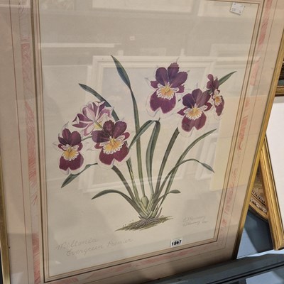 Lot 1867 - E J Hennessy. Irises. signed limited edition...