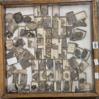 Lot 1291 - A glazed top display case containing various...