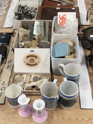 Lot 685 - A collection of fossils together with mocha...