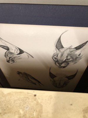 Lot 95 - A watercolour study of an antelope, an oil...