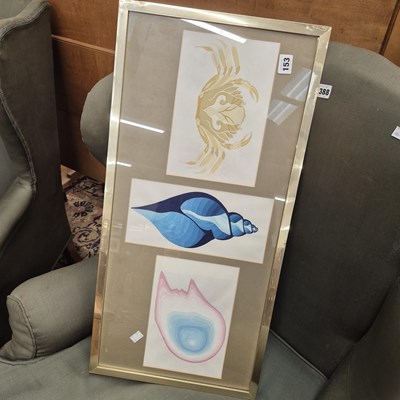 Lot 153 - A group of three sea shell watercolours framed...