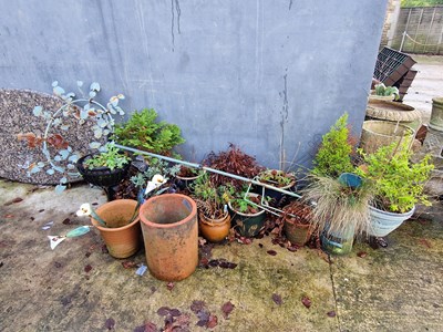 Lot 1256 - A collection of garden planters together with...