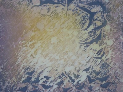 Lot 1332 - Helen Kerr (contemporary), 'Stormbirds', batik,...