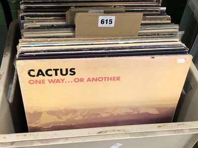 Lot 615 - American Rock - 16 LP Records & 1x12" Single;...