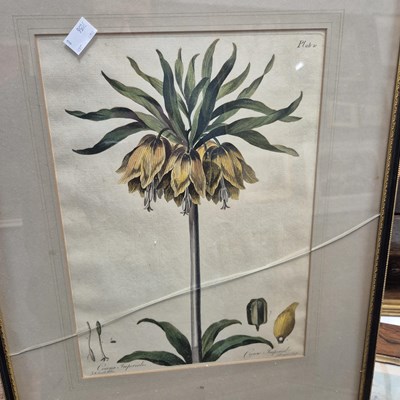 Lot 93 - A watercolor and two prints