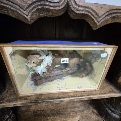 Lot 458 - A taxidermy polecat in glazed case