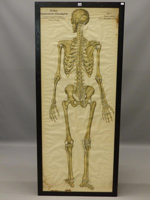 Lot 1336 - A Franz Frohes of Berlin 'Atomische Wandtafeln'...