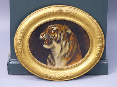 Lot 1340 - 19th century, the head of a tiger snarling,...