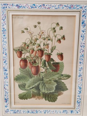 Lot 22 - An 18th century print of Blenheim House, a...