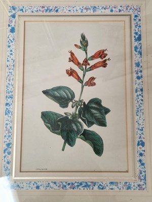 Lot 22 - An 18th century print of Blenheim House, a...