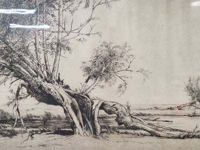 Lot 23 - A good group of six monochrome etchings,...