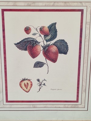 Lot 52 - Four decorative furnishing prints