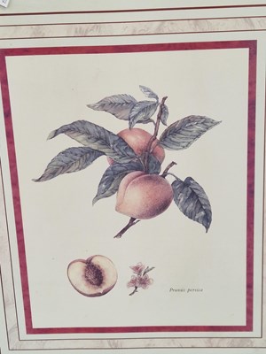 Lot 52 - Four decorative furnishing prints